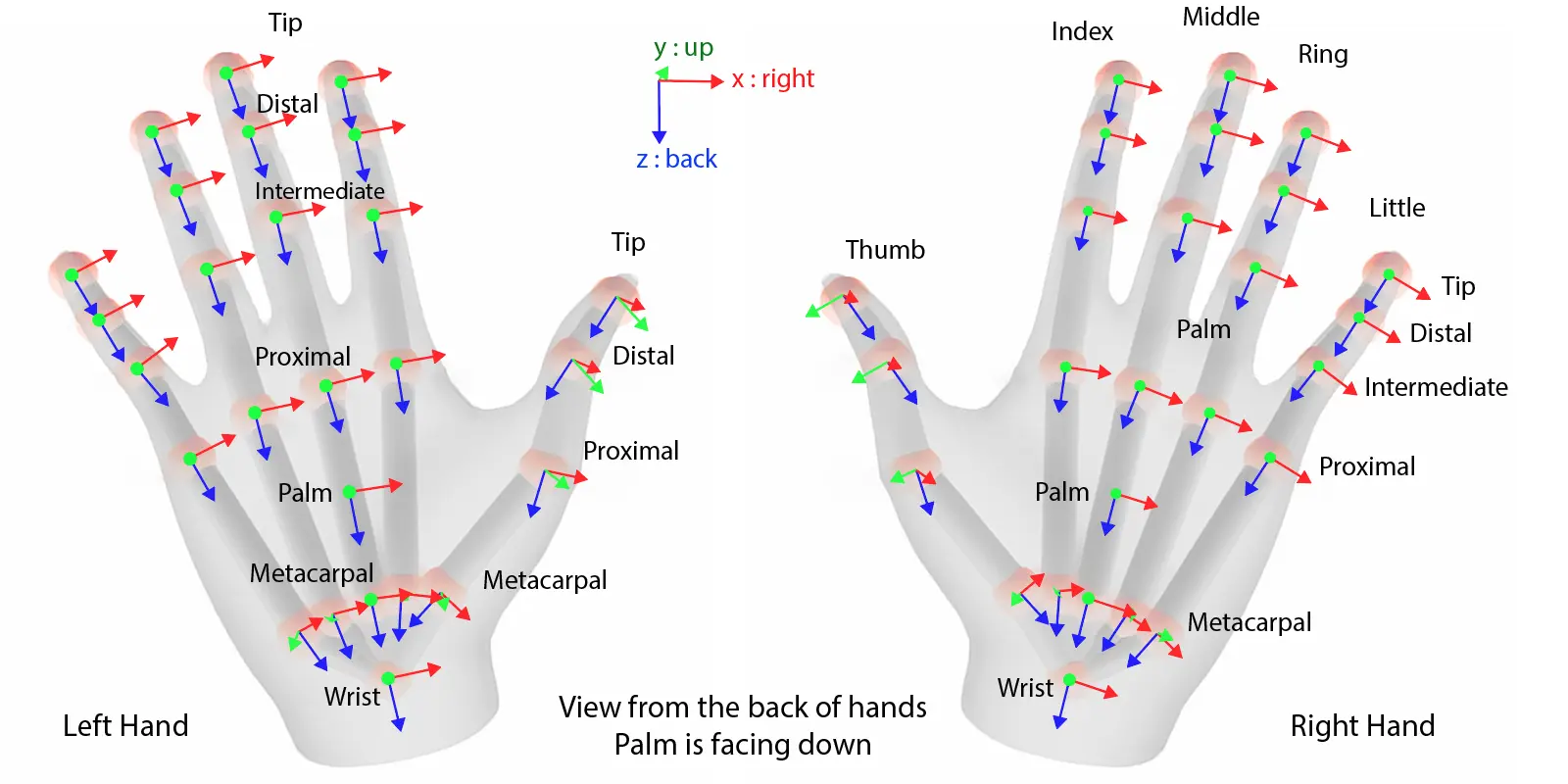 ../../_images/openxr_hand_skeleton.webp